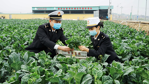 廣州海關(guān)助力粵港澳大灣區(qū)「菜籃子」建設(shè)