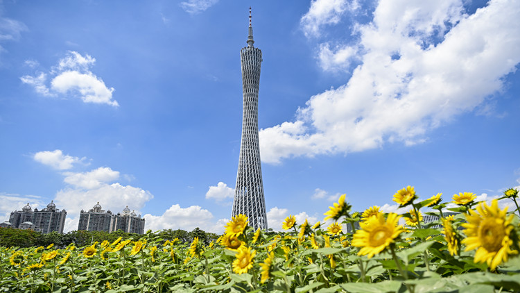 向「新」提「質(zhì)」贏未來！廣東加速發(fā)展新質(zhì)生產(chǎn)力