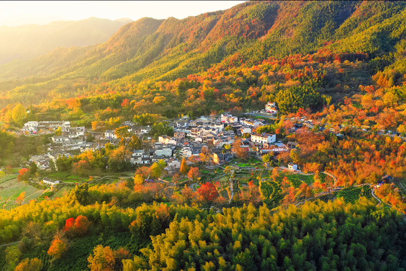 皖黟縣宏村鎮(zhèn)：旅居塔川 沉浸醉美秋色