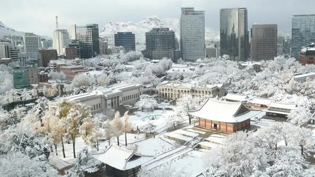 積雪超40cm沒過膝蓋！韓國多地罕見大雪 相關事故已致5人死亡