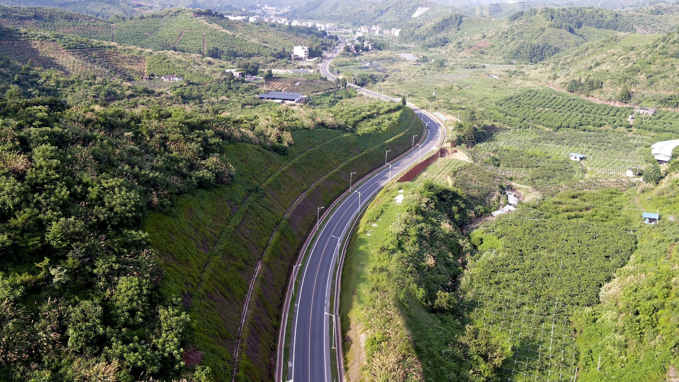 配圖2：航拍尋烏縣公路.jpg