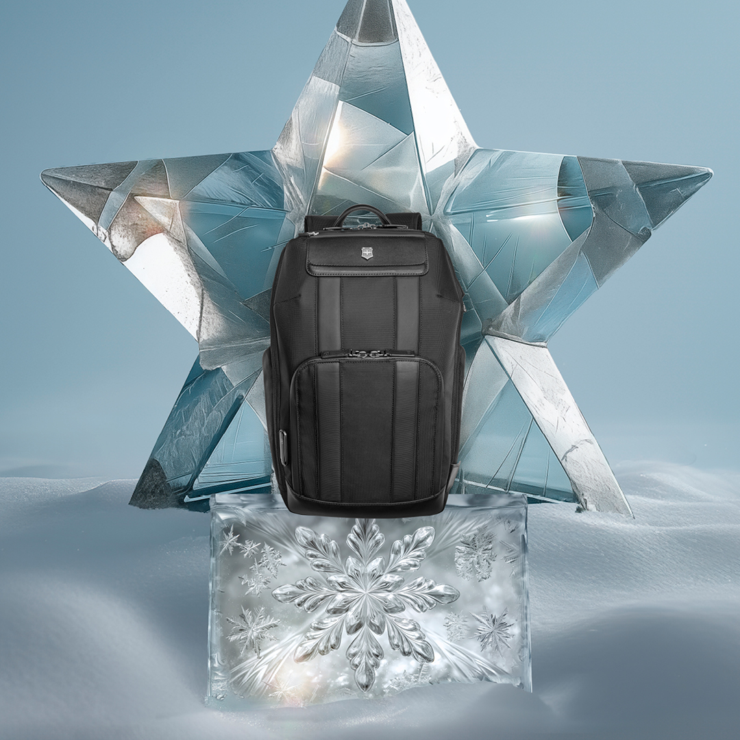 Holiday_Season_Architecture_Urban2_Deluxe Backpack.jpg